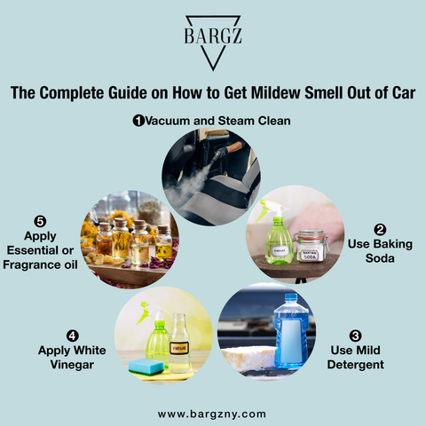 how to get mildew smell out of car