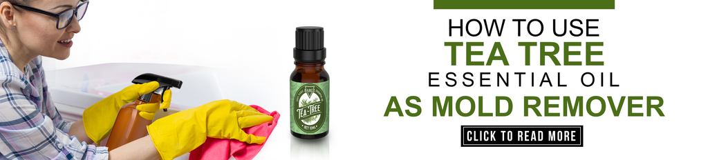 Tea Tree Essential Oil As Mold Remover