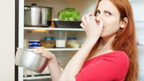 Fridge Deodorizer