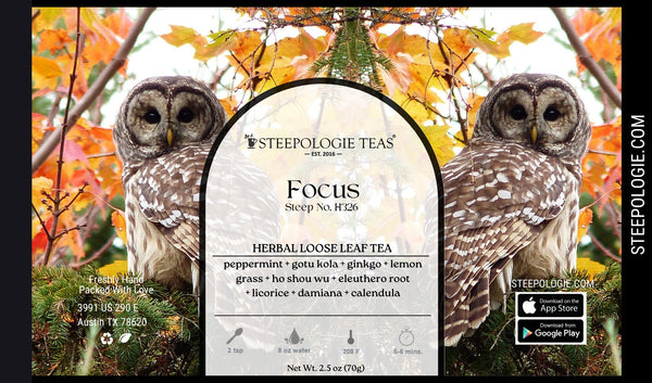 https://cdn.shopify.com/s/files/1/1559/1001/products/focus-tea-steep-no-h326-by-steepologie-286449_600x.jpg?v=1696198268