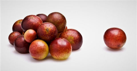 camu camu fruta