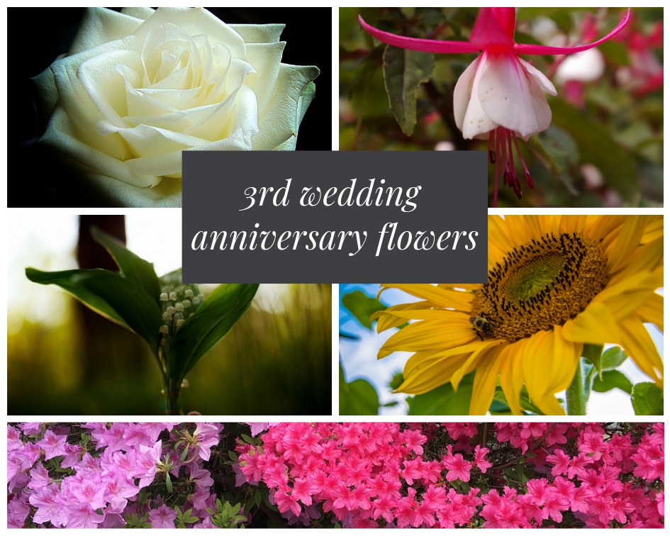 3rd wedding anniversary flower