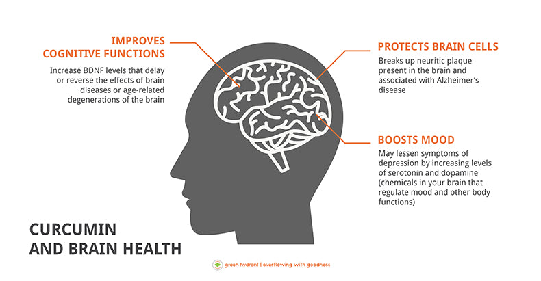 turmeric curcumin brain infographics