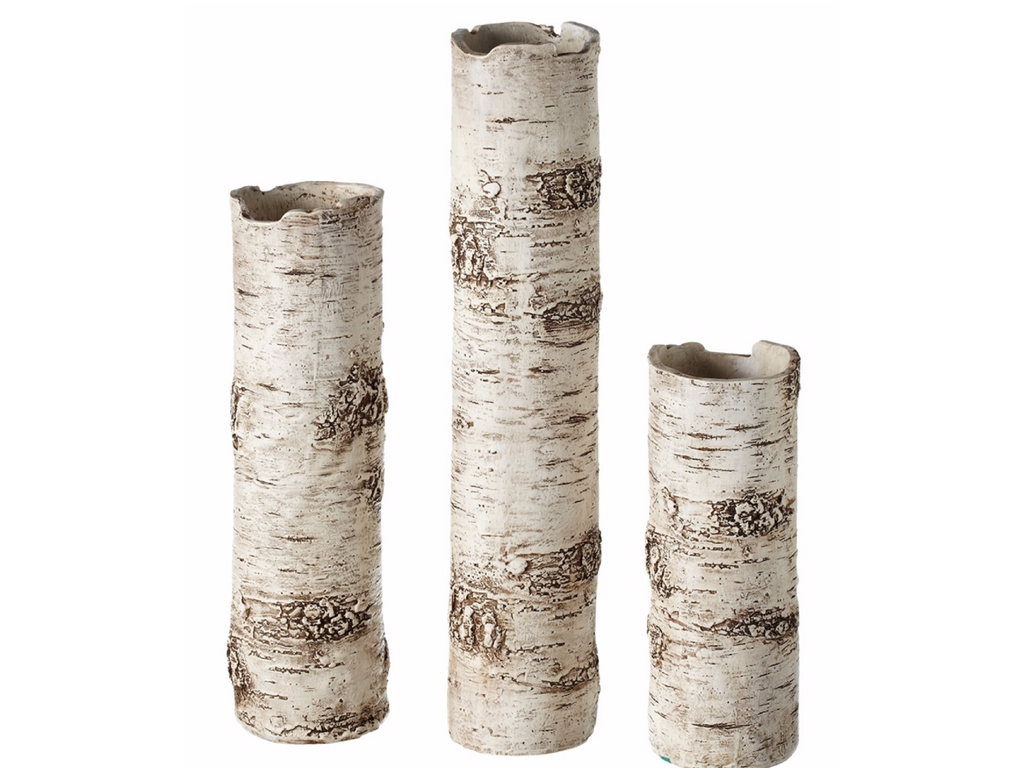 birch trees