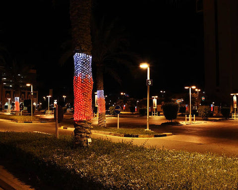 Empty Desolate Parking Lot At Night