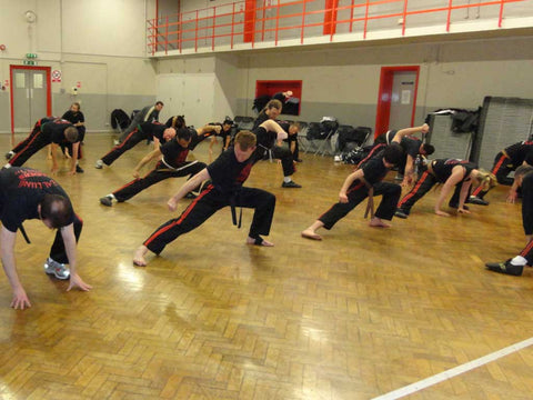 Martial Arts Kung Fu Old Traditional Studio