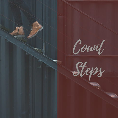 count steps the parenting journal