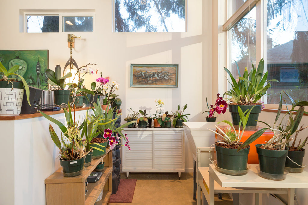 The “Orchid Studio”—A Tiny Backyard Studio by Seattle’s First Lamp