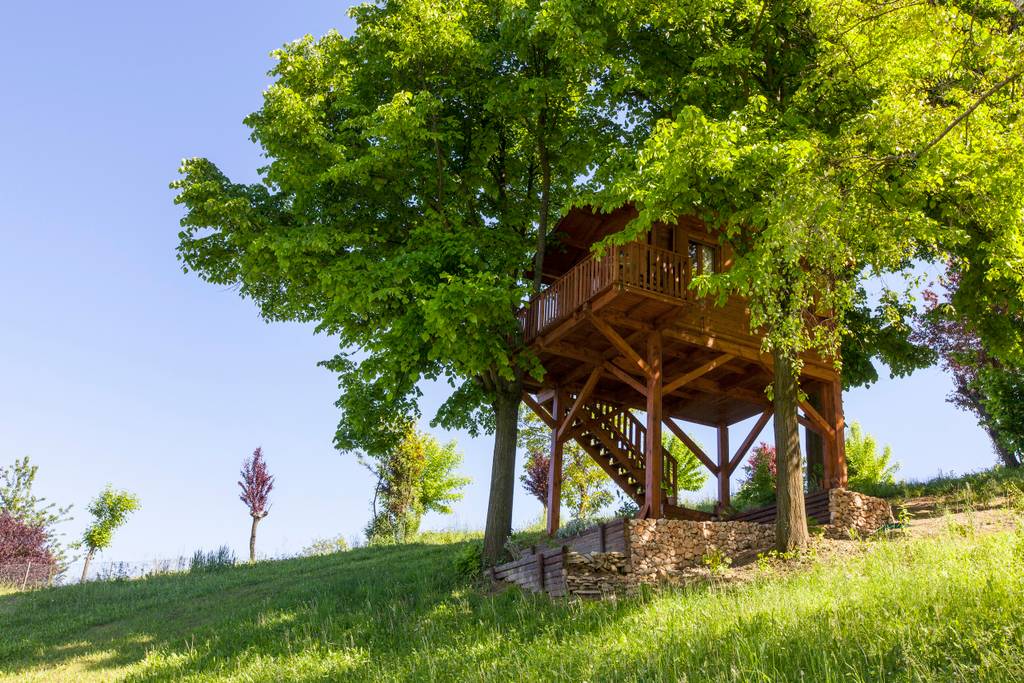 Tiny Treehouse in San Salvatore Monferrato, Italy - Airbnb