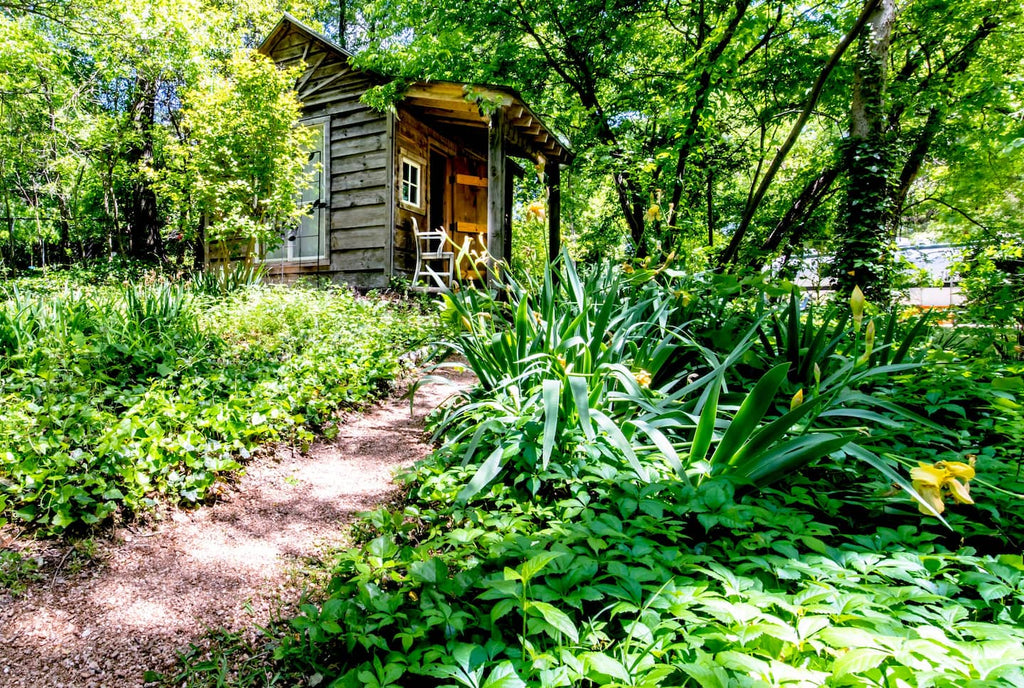 25 Tiny Houses in Texas For Rent on Airbnb & VRBO!