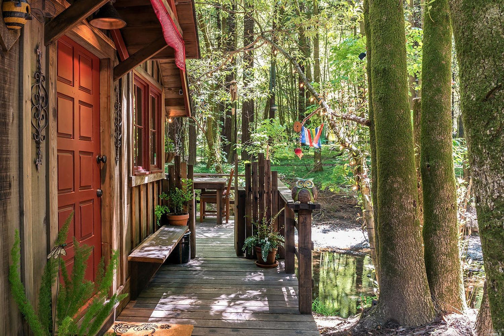 Tiny Redwood Cabin and Treehouse with Zip lines in Monte Rio, California