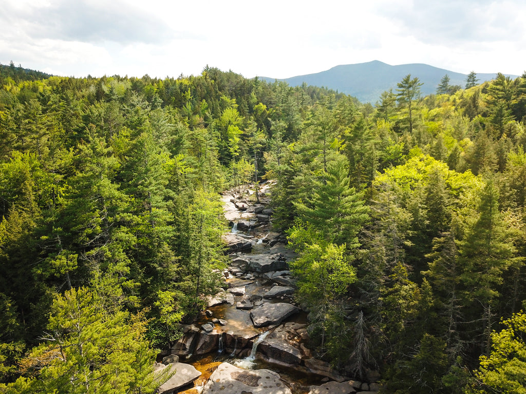 7-Day New Hampshire Tiny House Road Trip Itinerary