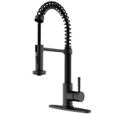 Black Pull-Down Faucet