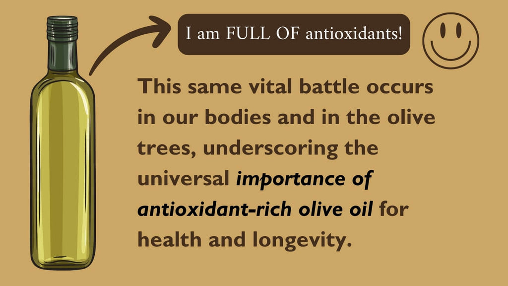 10-Olive_Oil_is_full_of_antioxidants