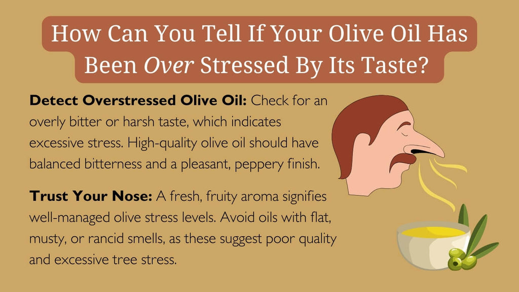 11-How_can_you_tell_if_your_olive_oil_has_been_over_stressed_by_its_taste