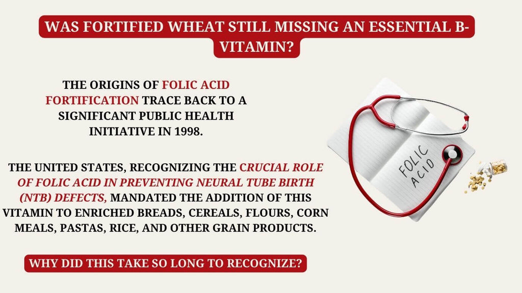 11-was-fortified-wheat-still-missing-an-essential-b-vitamin