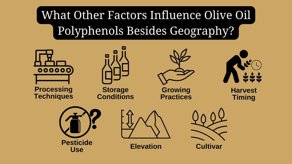 12-What_other_factors_influence_olive_oil_polyphenols_besides_geography