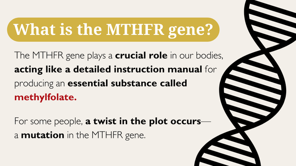 What is the MTHFR gene?