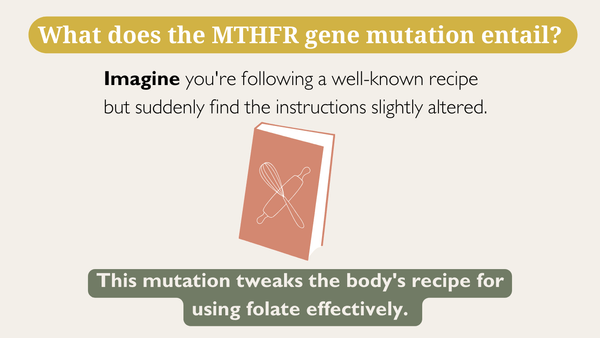 What the MTHFR mutation entails?