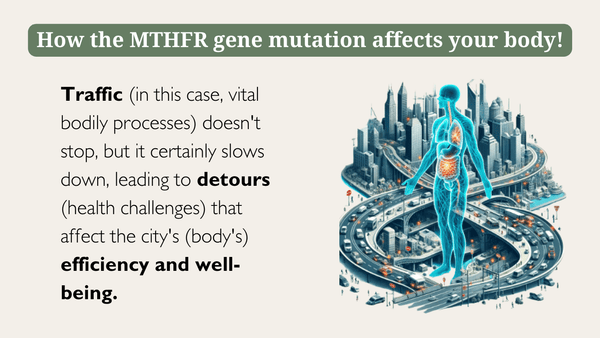 how the MTHFR mutation affects your body