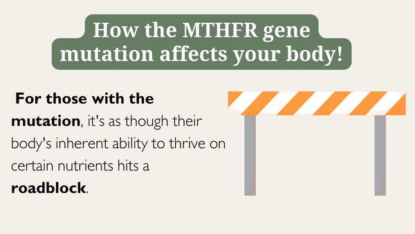 how the MTHFR gene mutation  is a roadblock to your body