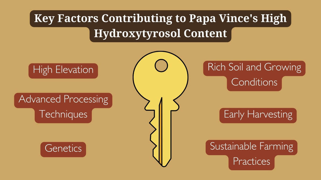 18-Key_Factors_contributing_to_Papa_Vince_s_High_Hydroxytyrosol_Content