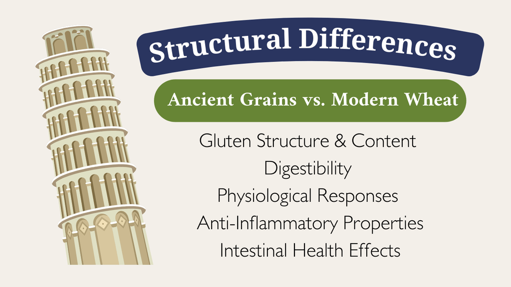 structural differences in grains