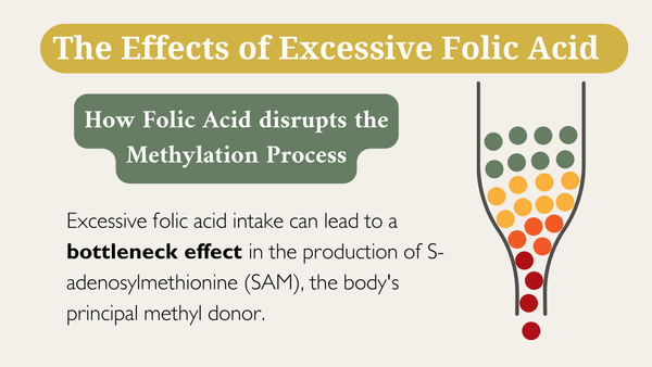 the effects of excessive folic acid on the body
