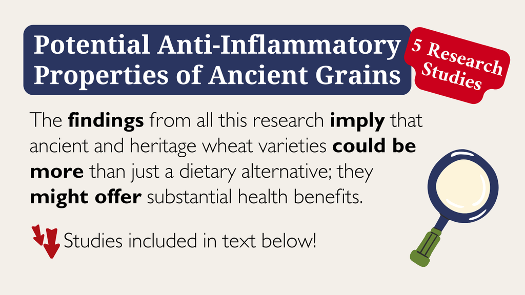 Potential Anti-Inflammatory Research Studies