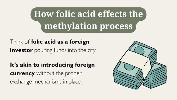 how folic acid effects the methylation process