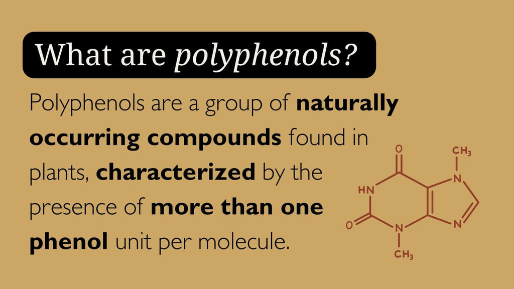 2-_What_are_polyphenols