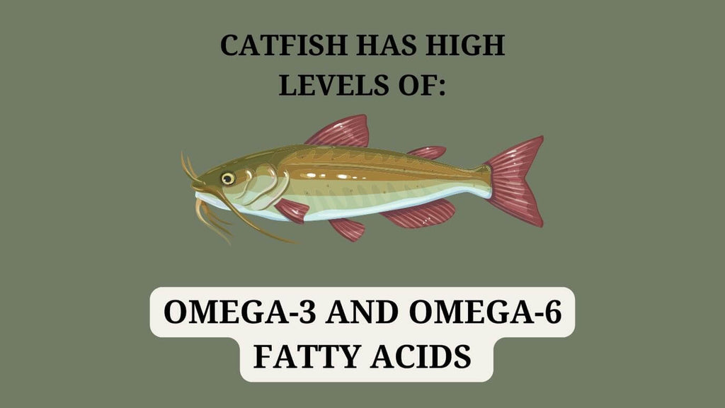 Catfish has high omega3 fatty acids