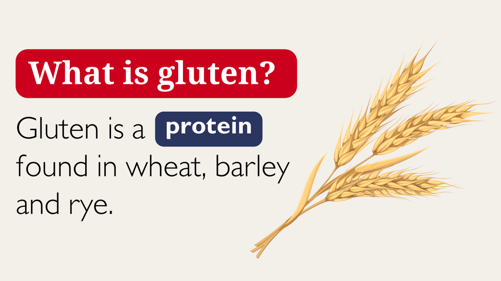 What is gluten?