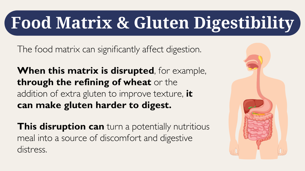 Food Matrix and Gluten Digestibility