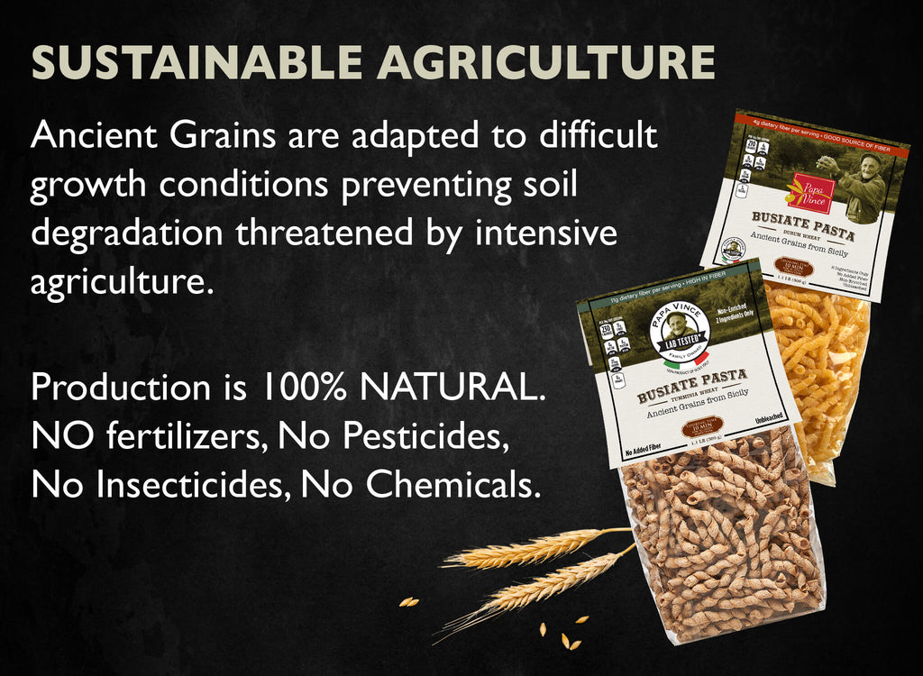sustainable agriculture, showcasing packages of Papa Vince's non-enriched durum wheat semolina pasta, with claims of natural growth without fertilizers, pesticides, insecticides, or chemicals, and the adaptation of ancient grains to protect soil against intensive agricultural degradation.