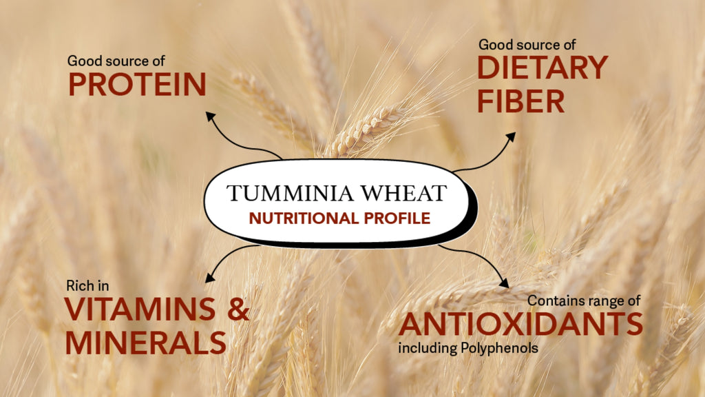 Tumminia wheat nutritional profile