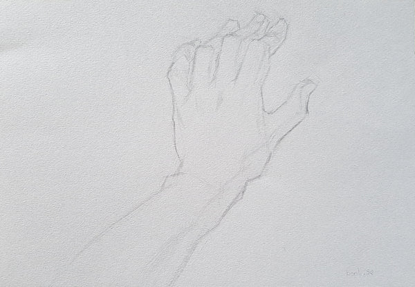 anatomy hand homework