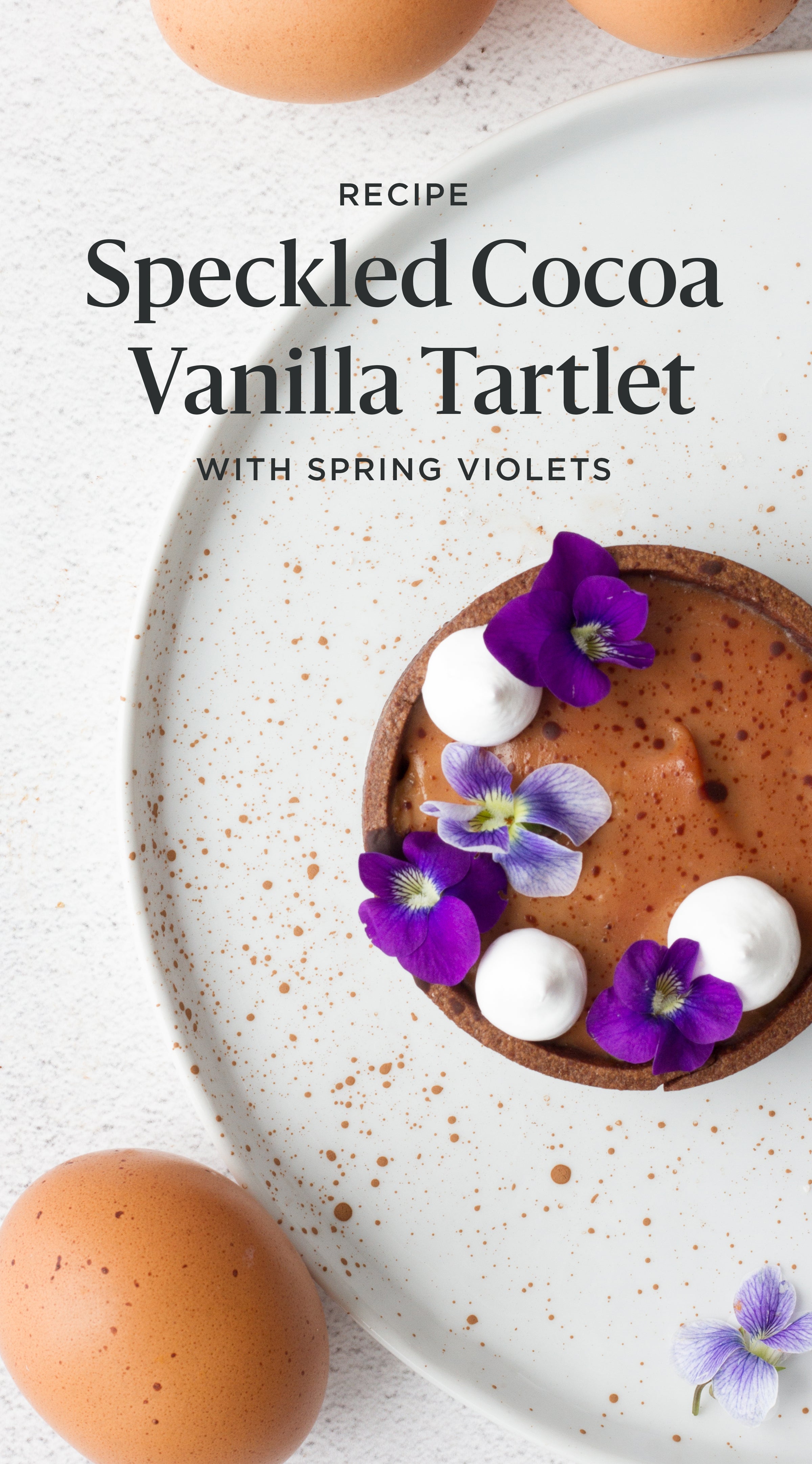 Cocoa Vanilla Tartlet Spring Dessert Pinterest image