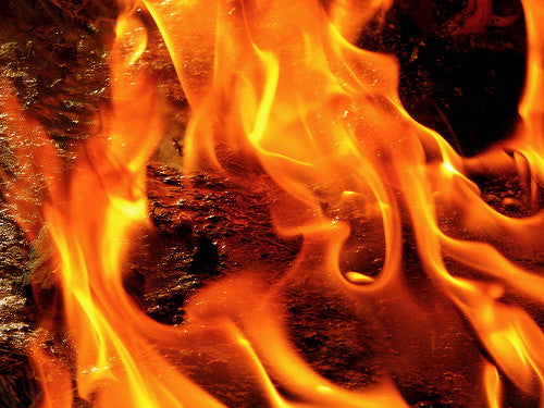 Burning Love