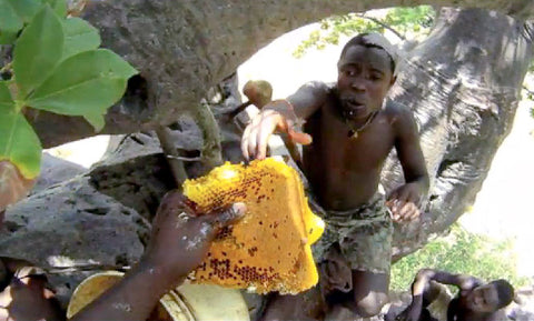 Honey In African Tribal Medicine