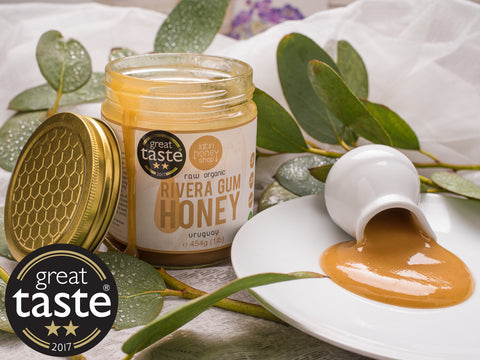 Latin Honey Shop Raw Organic Rivera Gum Honey From Uruguay