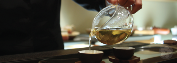 Pour a cup and ask us questions about your favorite tea!