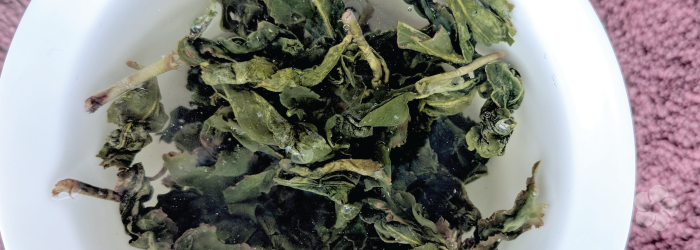 The Jin Xuan variety is sometimes called a Milk Oolong tea for its naturally creamy taste.