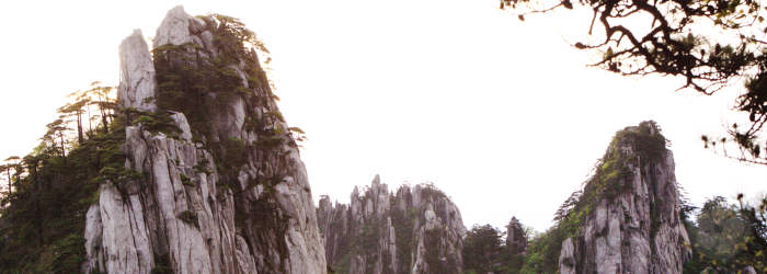 Teas that grow wild on rocky cliffs like these in the Wuyi Mountains are highly valued for rarity and flavor quality.