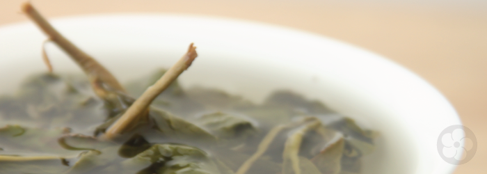 steeping leaves unfurl fully in a gaiwan