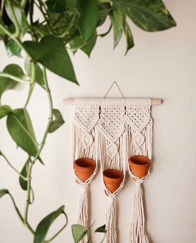 macrame plant hanger nursery decor