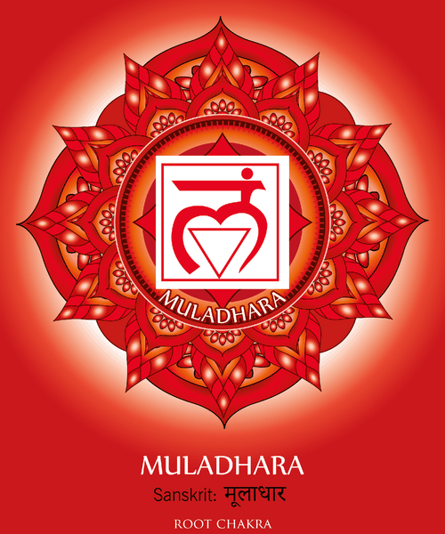 root-chakra-muldhara