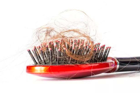 Noticing more hair on your hair brush? Switch to non-damaging PONY-O