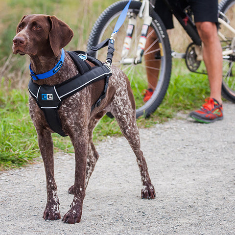 Ultimate Dog Pulling Harness