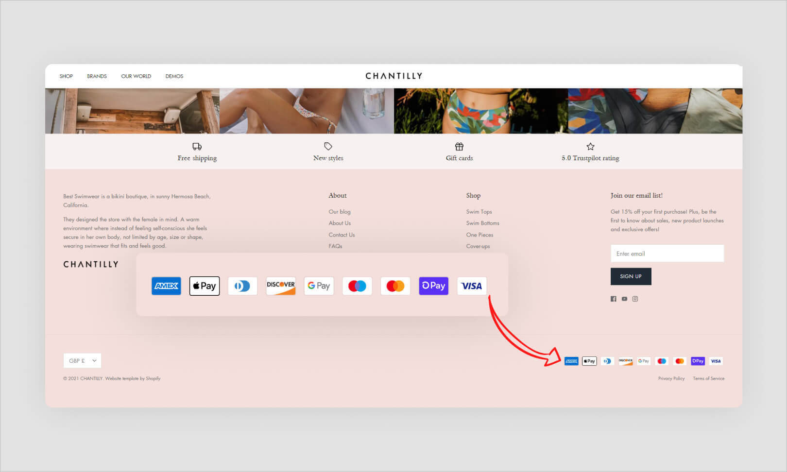 Jak odebrat Powered by Shopify pomocí jednoduchých kroků